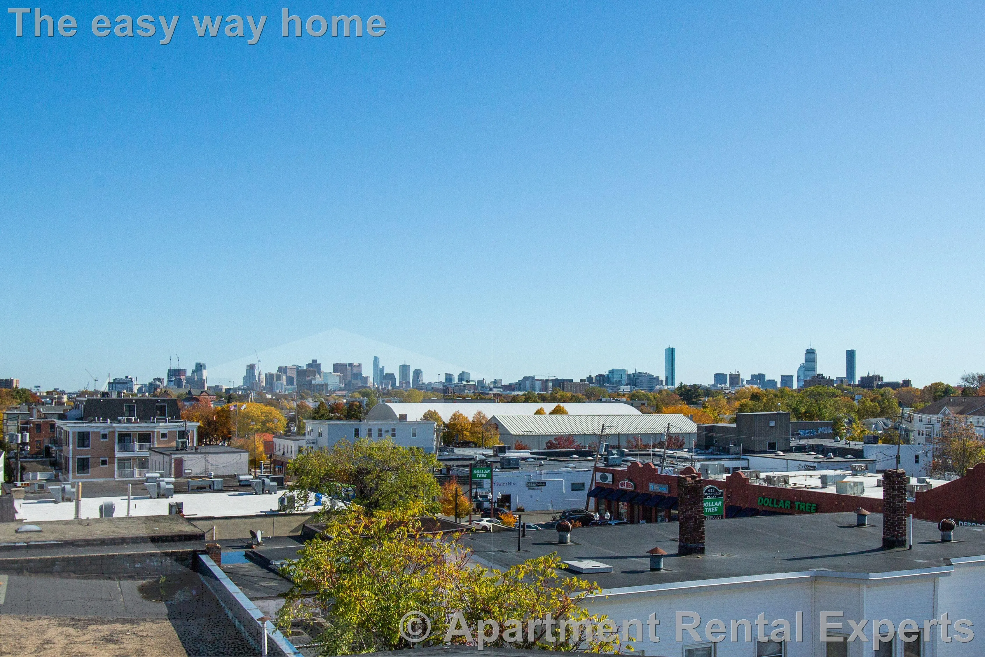 4 bed, 1 bath apartment for rent at 6 Belmont St Unit 2, Spring Hill — photo 6 of 8