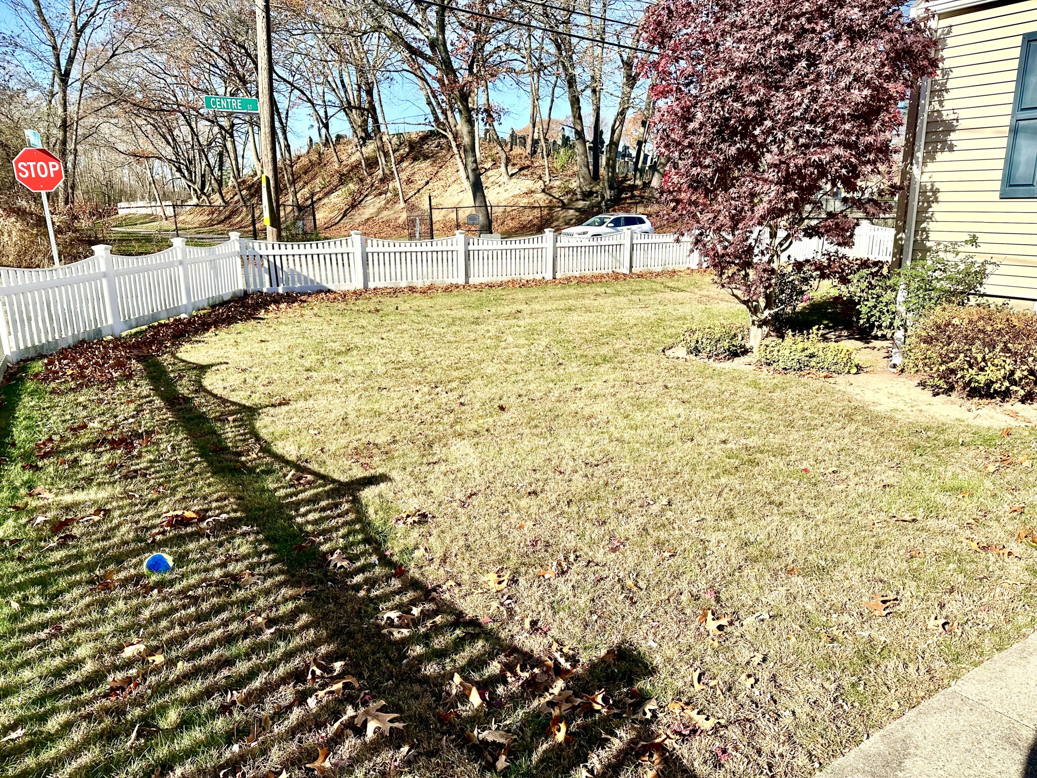 3 bed, 2 bath apartment for rent at 6 Bonad Rd Unit 6, Dedham — photo 6 of 34