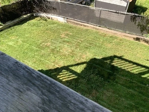 2 bed, 1 bath apartment for rent at 6 Chapman Unit 1, Watertown — photo 11 of 11