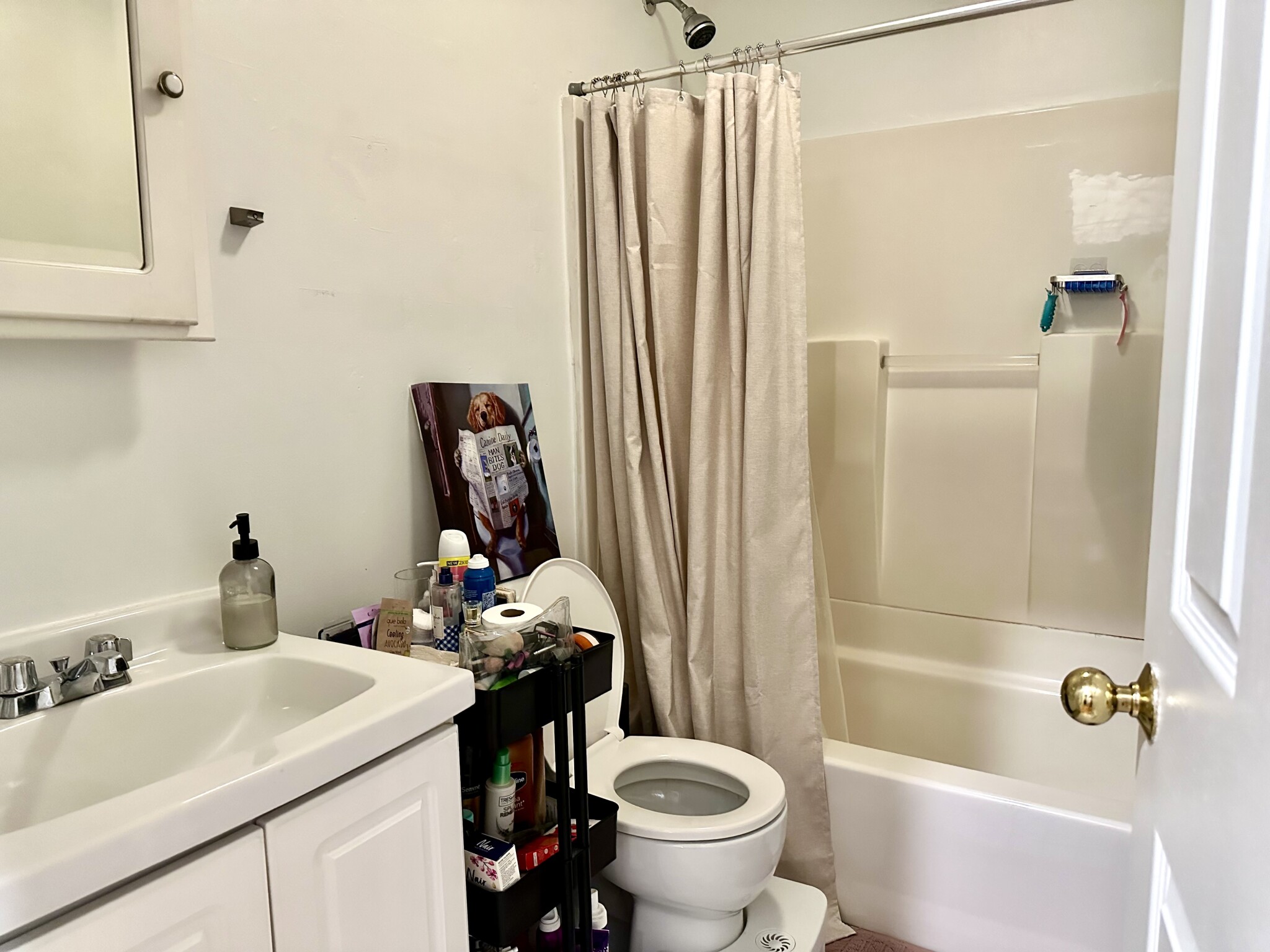 1 bed, 1 bath apartment for rent at 6 Cleveland Pl Unit 13L, North End — photo 4 of 26