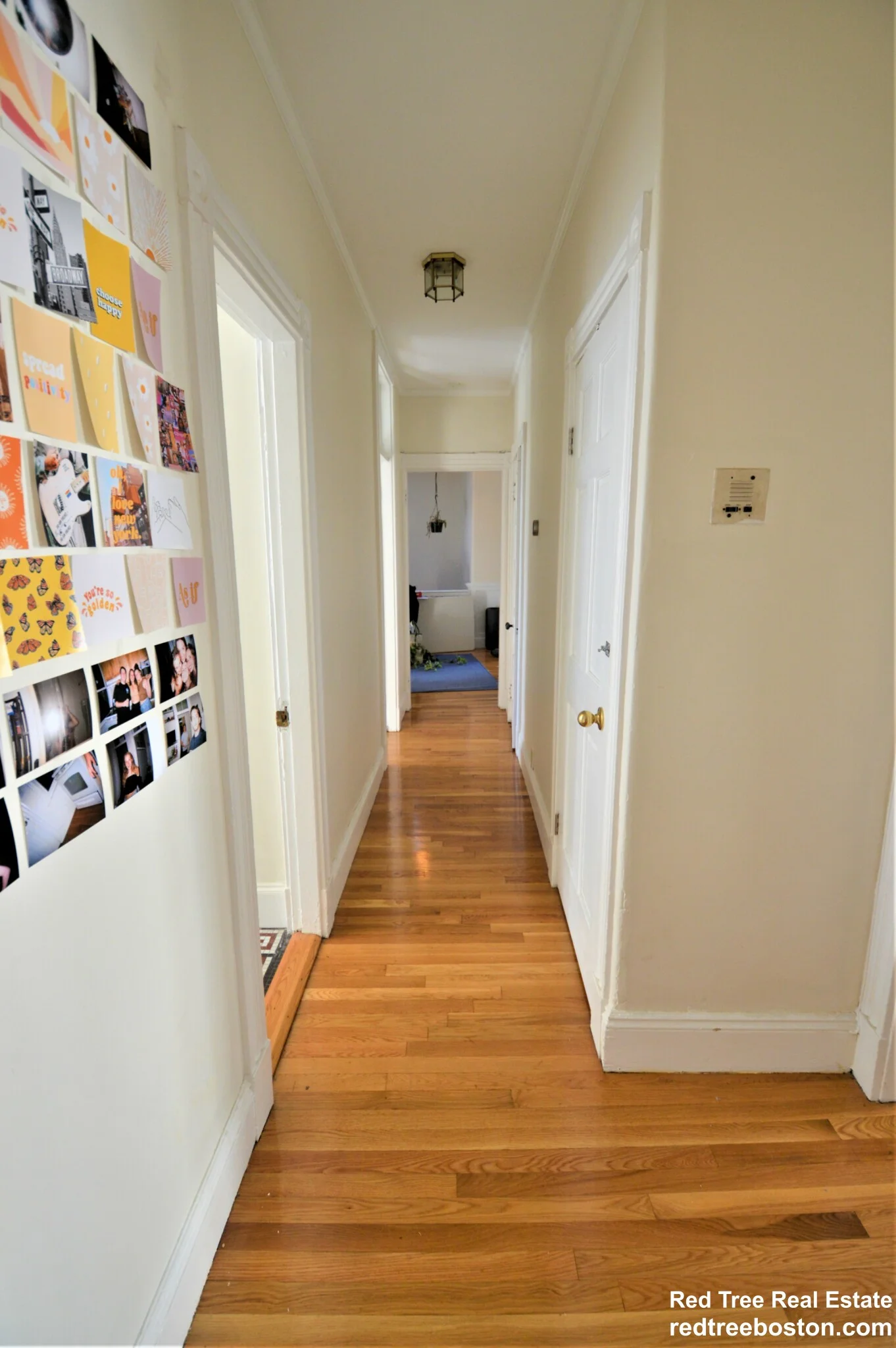 5 bed, 2 bath apartment for rent at 6 Colliston Rd Unit 2, Brighton — photo 14 of 16