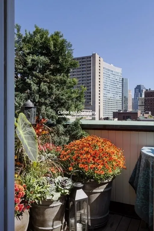 2 bed, 1.5 bath apartment for rent at 6 Edgerly Pl Unit 504A, Back Bay — photo 9 of 12
