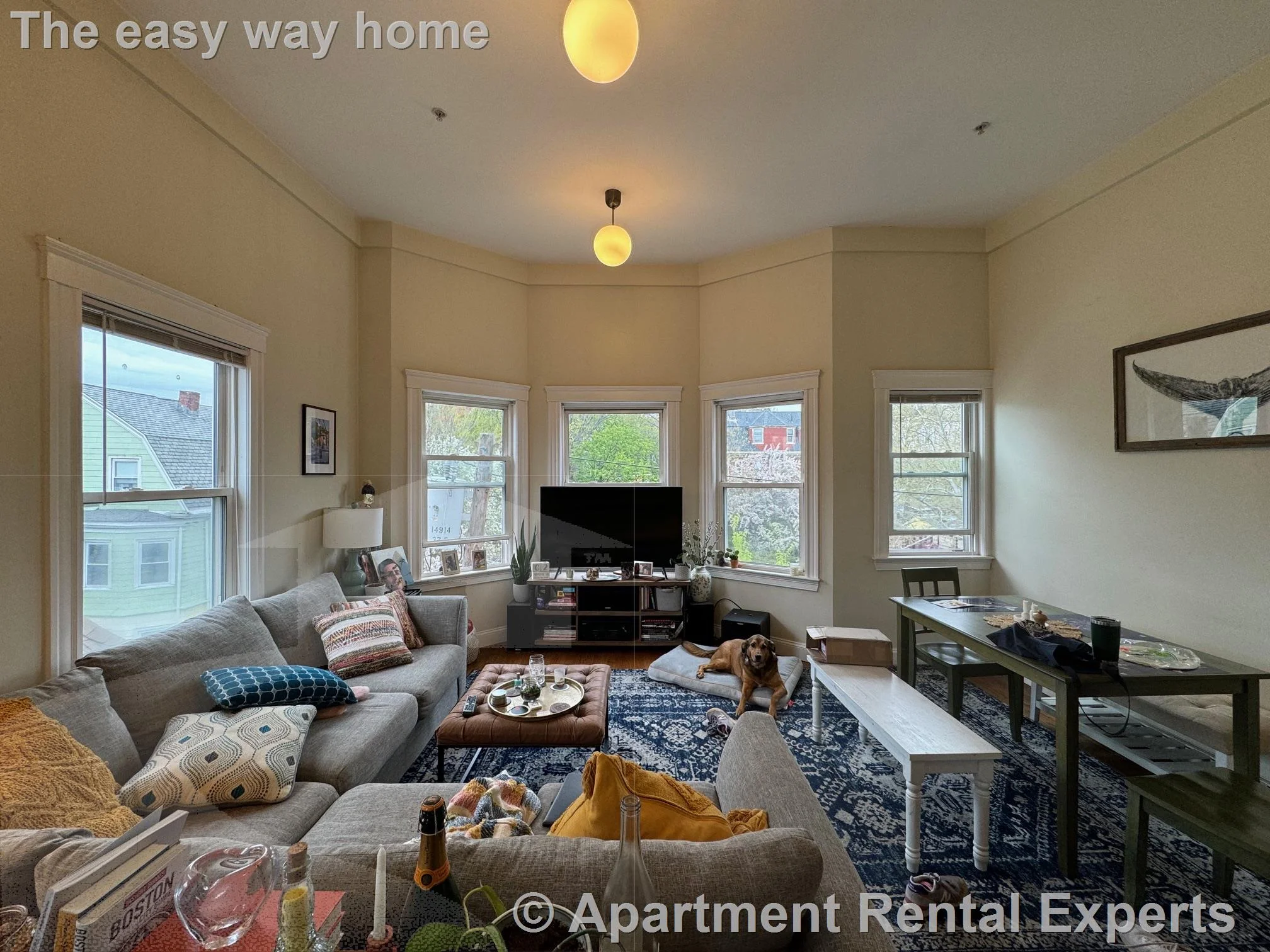 2 bed, 2 bath apartment for rent at 6 Giles Park Unit 3A, Union Square