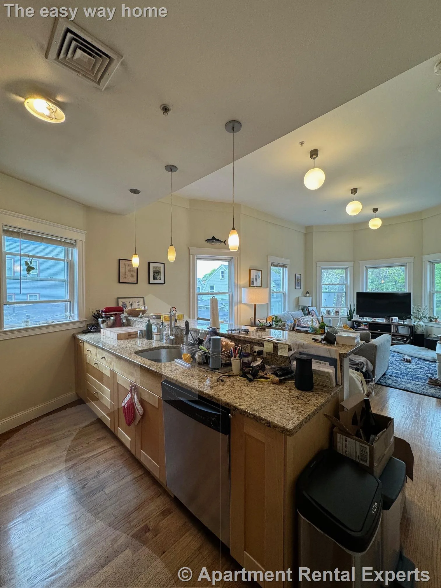 2 bed, 2 bath apartment for rent at 6 Giles Park Unit 3A, Union Square — photo 3 of 20
