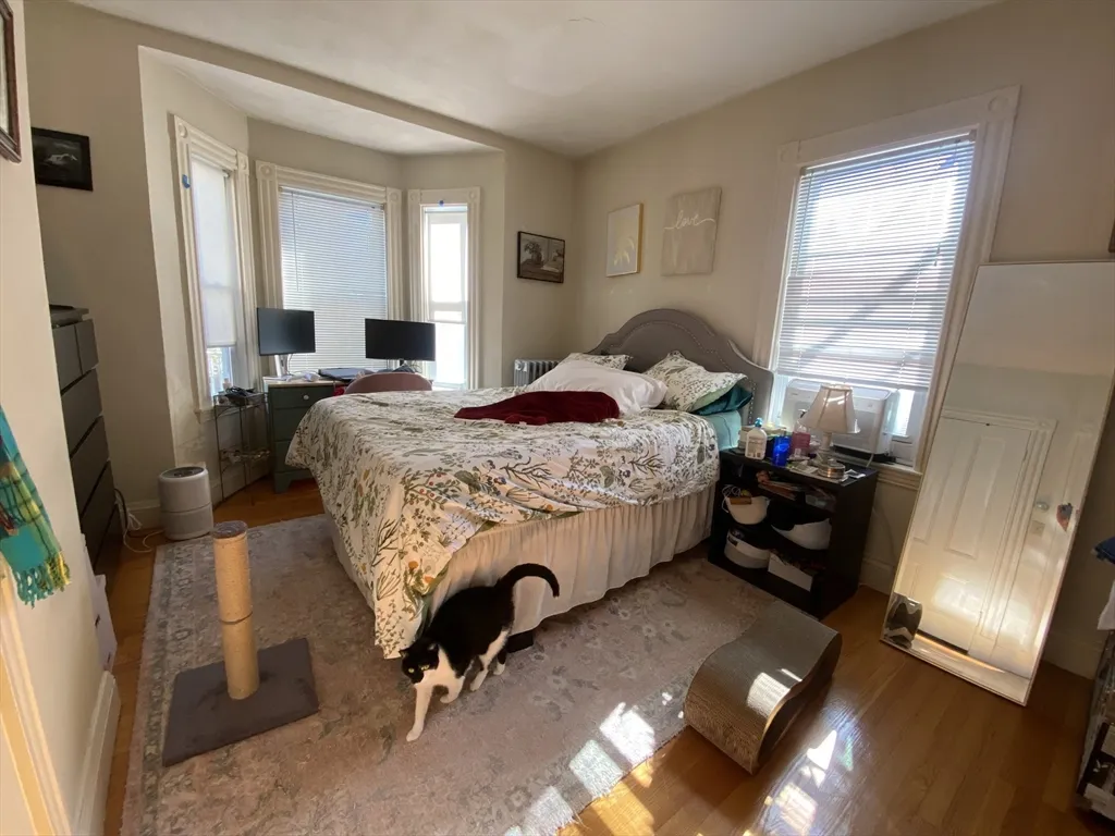 2 bed, 2 bath apartment for rent at 6 Harriet St Unit 2, Brighton — photo 2 of 7