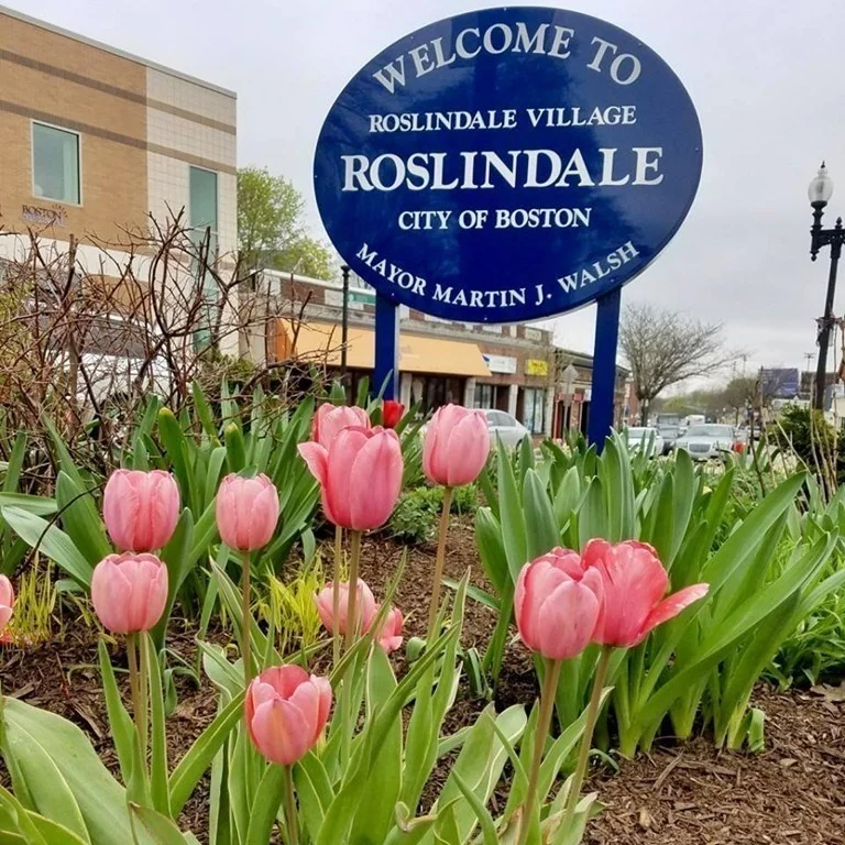 2 bed, 1 bath apartment for rent at 6 Hayes Unit 26, Roslindale — photo 7 of 9