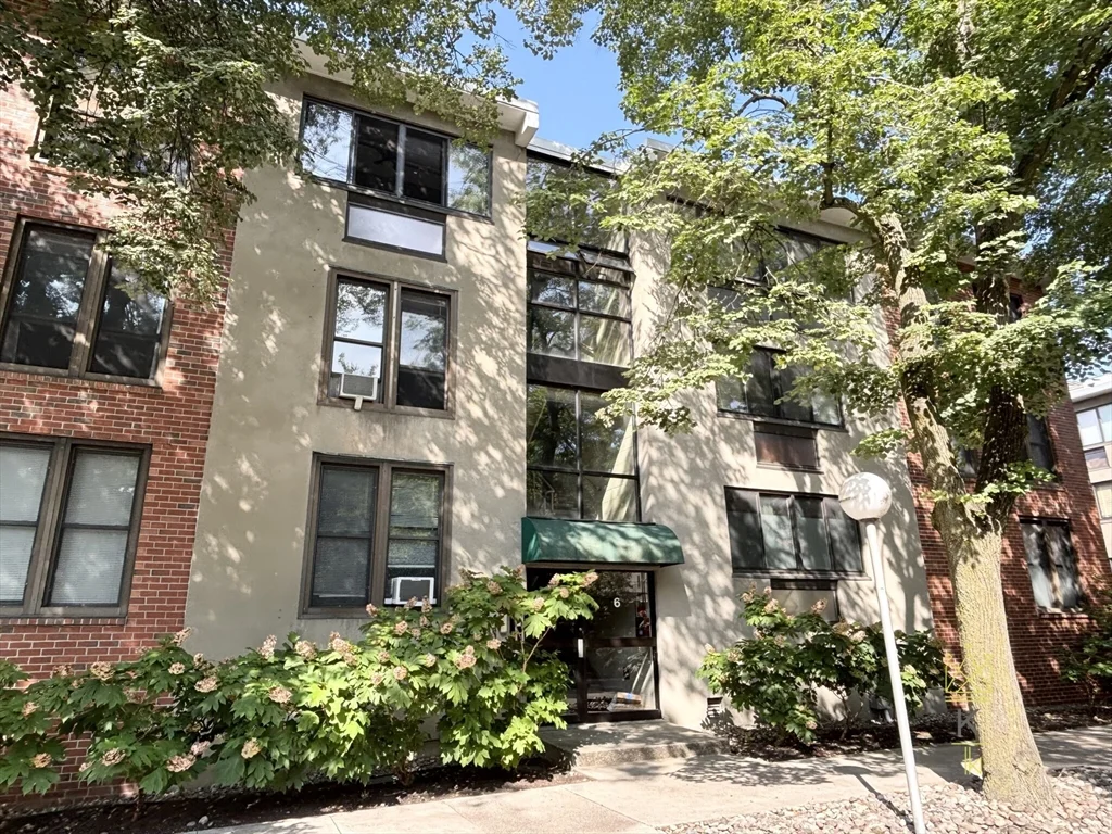 1 bed, 1 bath apartment for rent at 6 Juniper St Unit 9, Brookline Village — photo 11 of 12