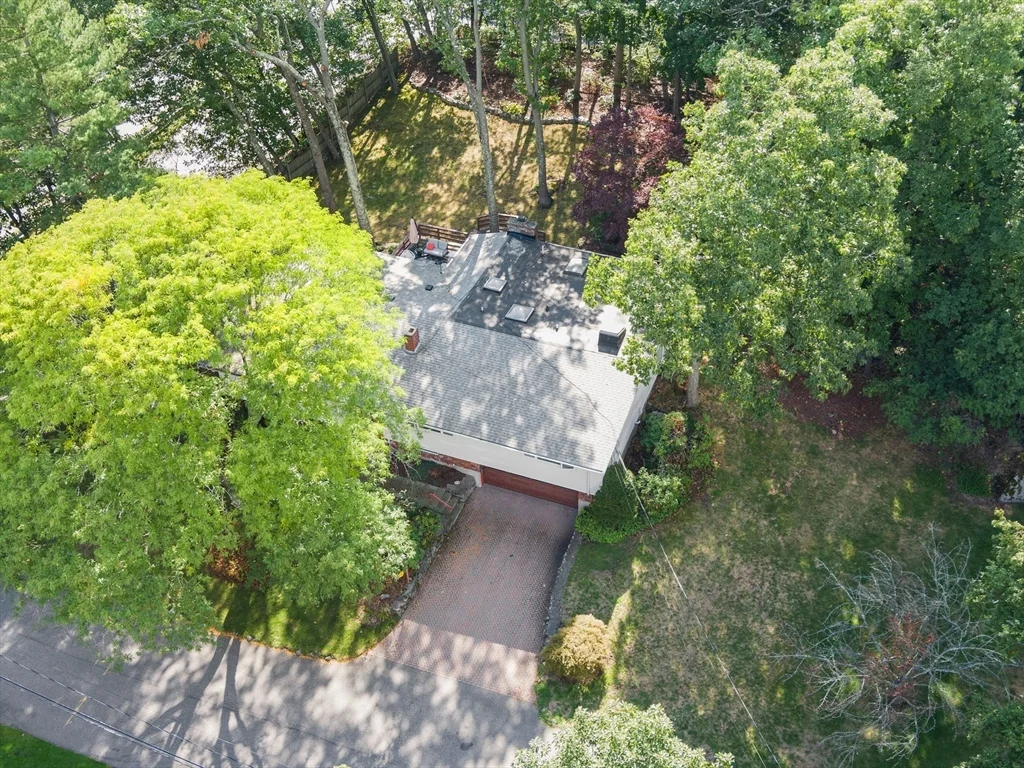 4 bed, 3 bath apartment for rent at 6 Nelson Dr, Chestnut Hill — photo 32 of 33