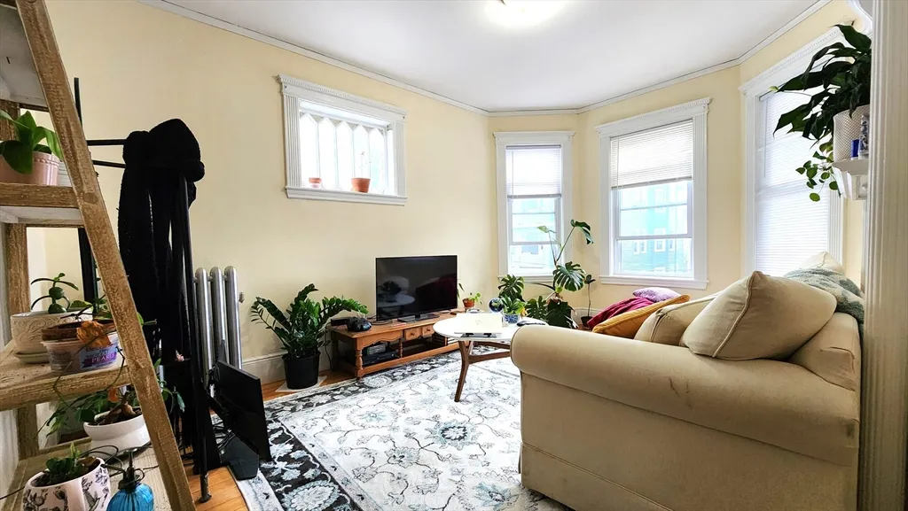 3 bed, 1 bath apartment for rent at 6 Newton St Unit 2, Cambridgeport — photo 1 of 11