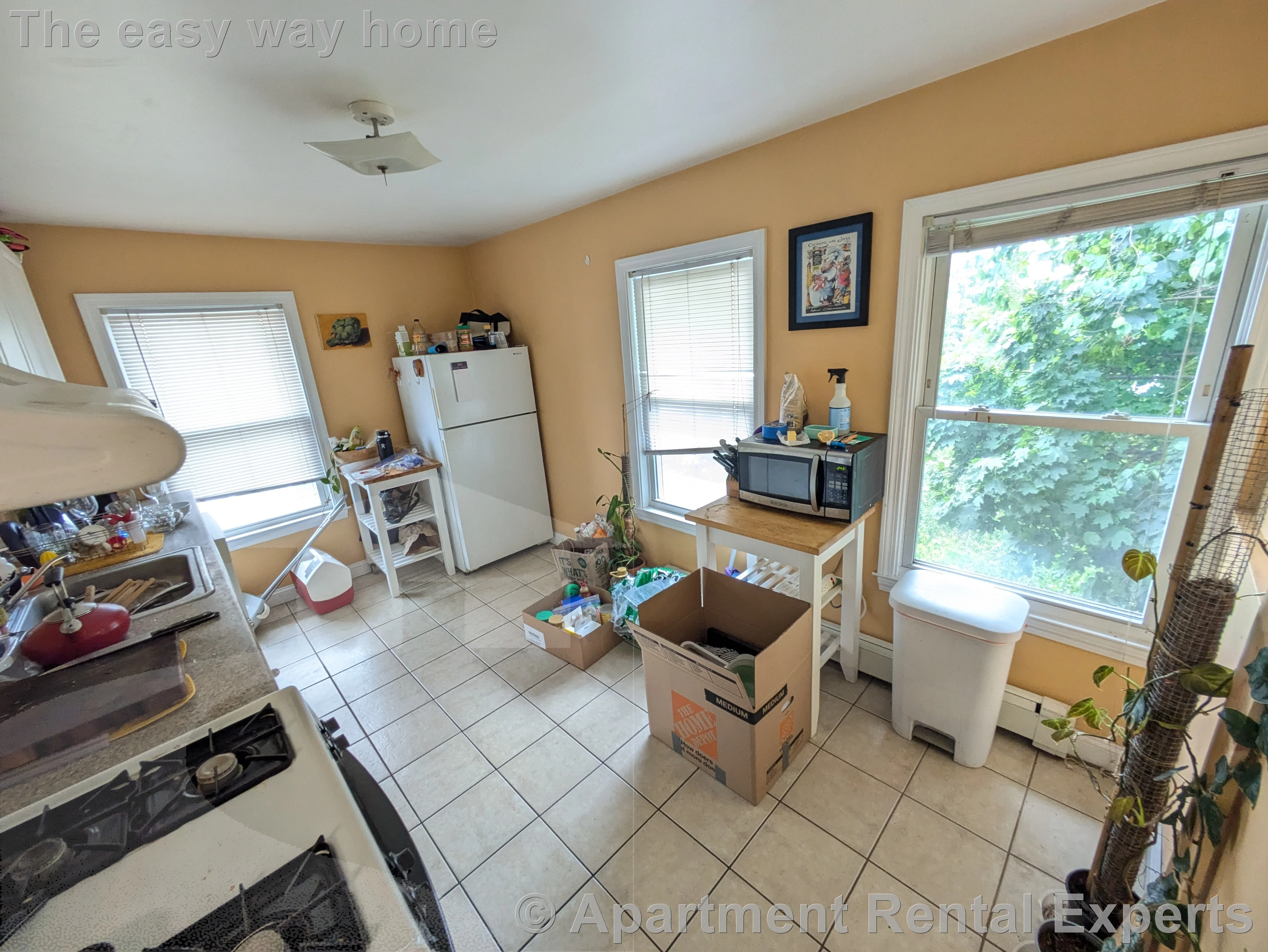 2 bed, 1 bath apartment for rent at 6 Pearl St, Tufts University — photo 5 of 12