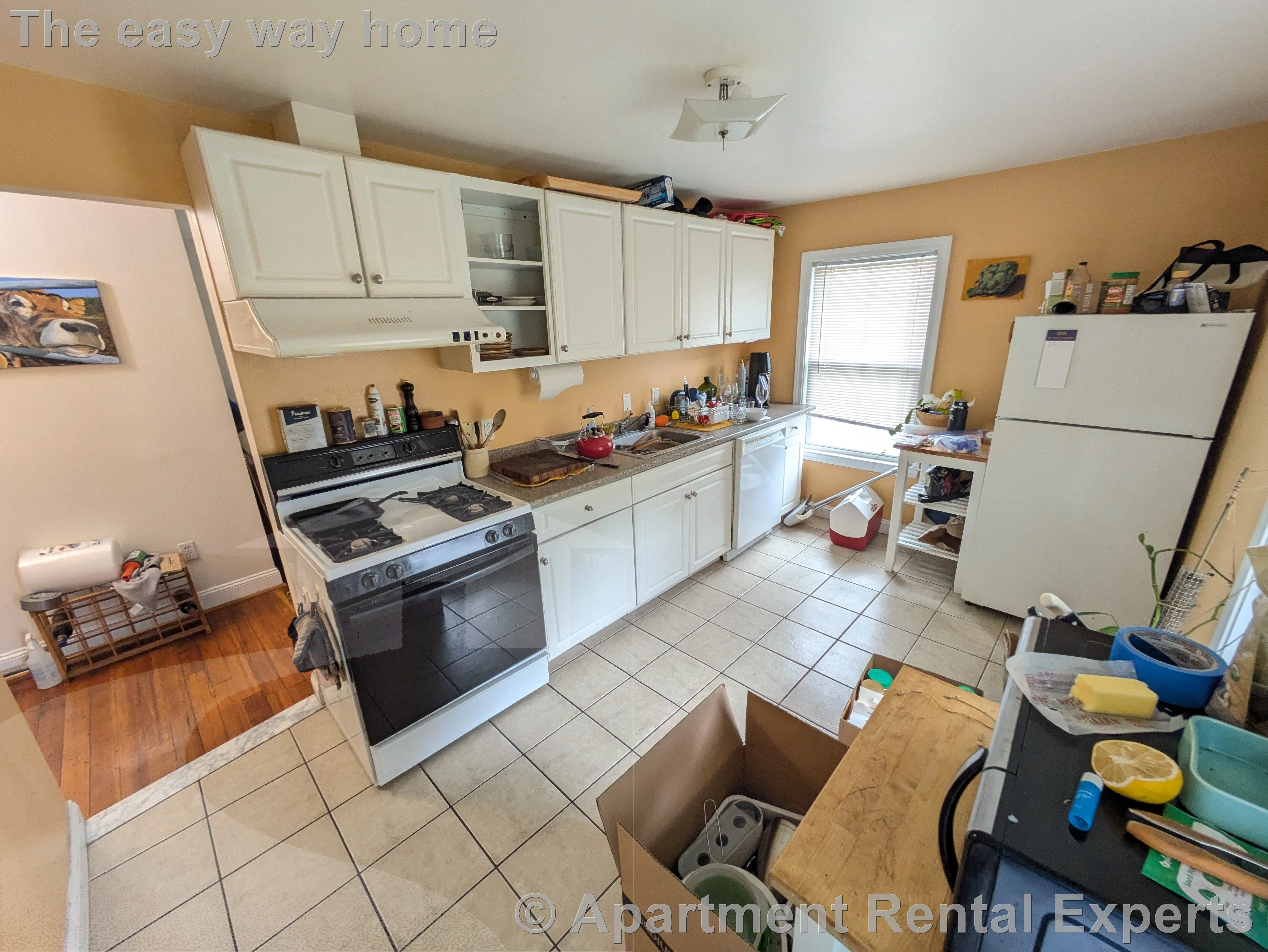 2 bed, 1 bath apartment for rent at 6 Pearl St, Tufts University — photo 6 of 12