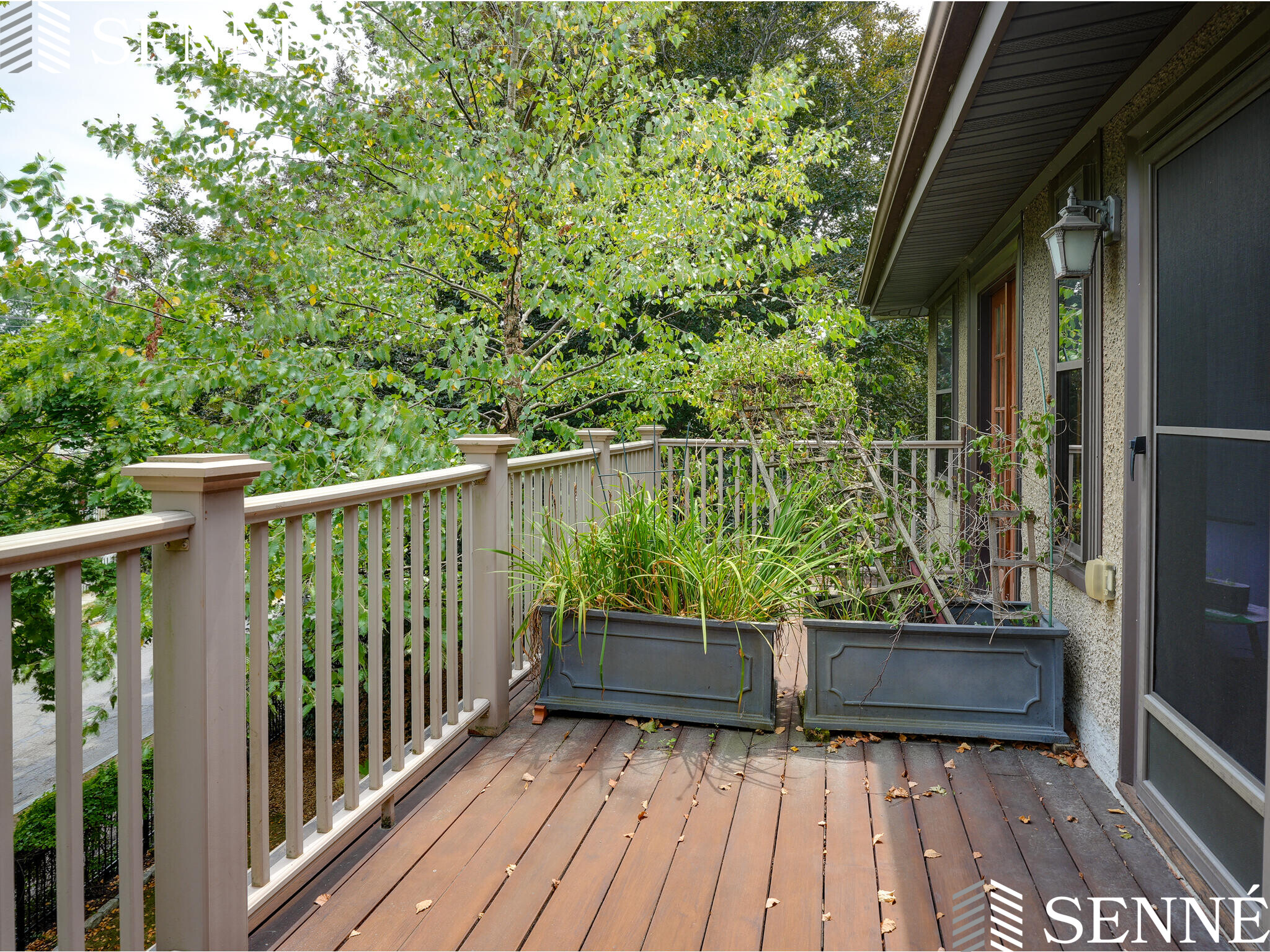 3.5 bed, 1.5 bath apartment for rent at 6 Pine St Unit 2, Belmont — photo 23 of 27