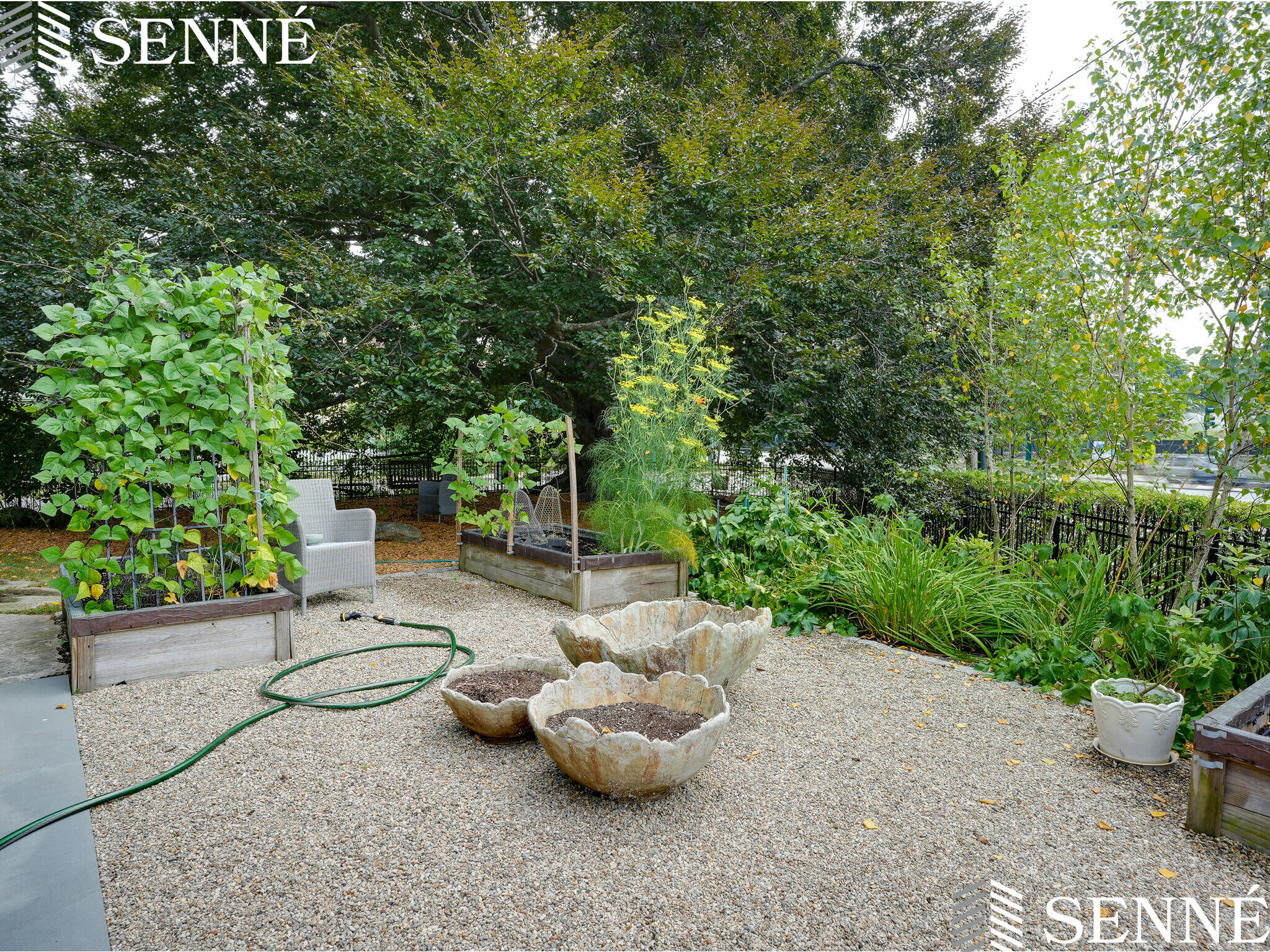 3.5 bed, 1.5 bath apartment for rent at 6 Pine St Unit 2, Belmont — photo 24 of 27