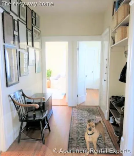 2 bed, 1 bath apartment for rent at 6 Poplar Rd Unit 3, Huron Village — photo 11 of 16