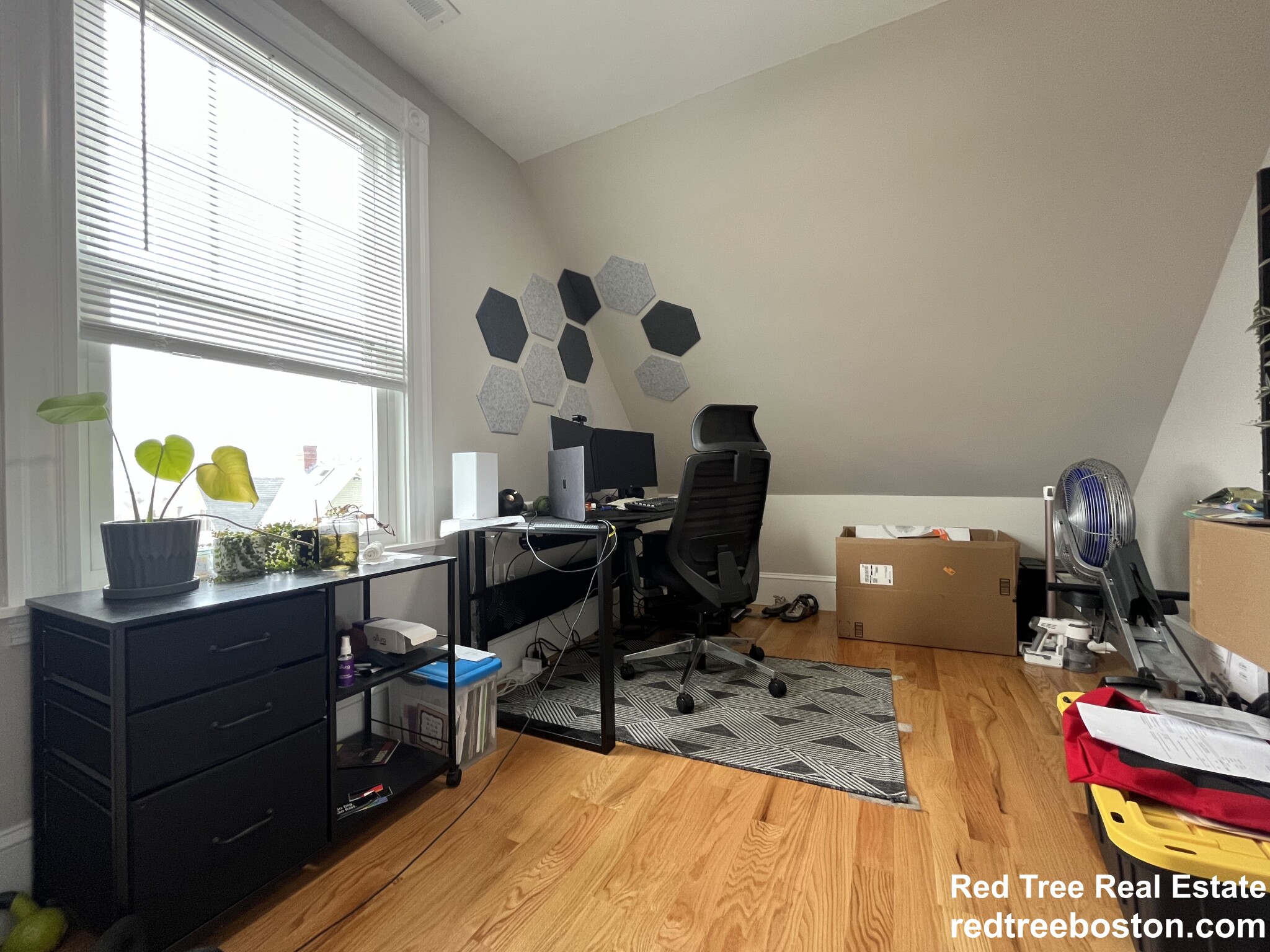 2 bed, 1 bath apartment for rent at 6 Primrose St Unit 3, Roslindale — photo 7 of 12
