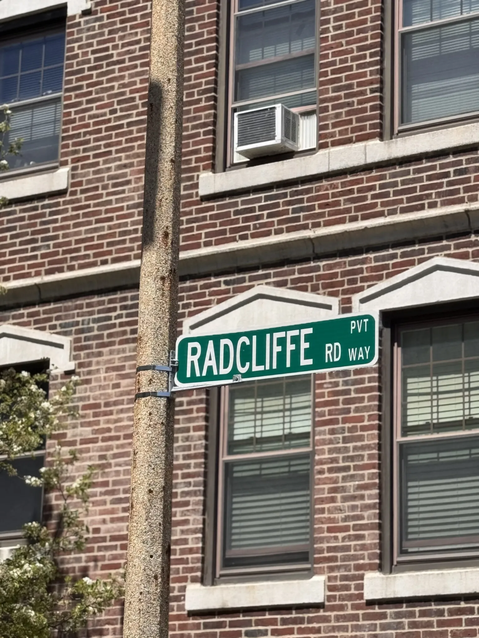 3 bed, 1 bath apartment for rent at 6 Radcliffe Rd Unit 1, Allston — photo 14 of 18