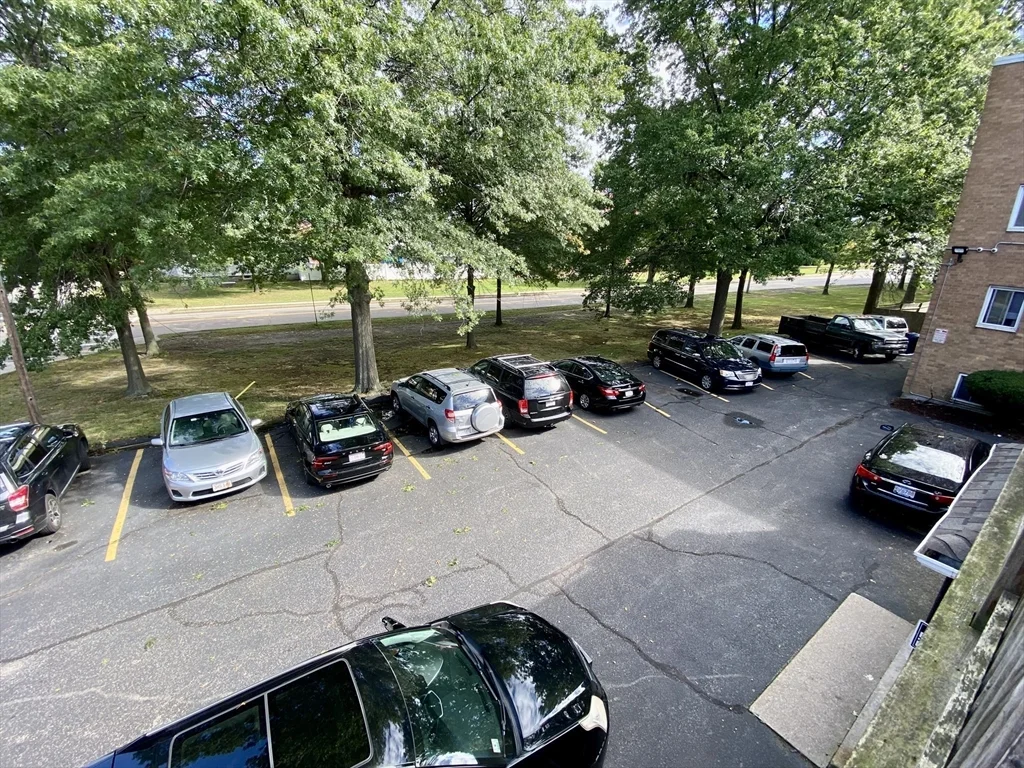 2 bed, 1 bath apartment for rent at 6 Waterloo St Unit 8, Hyde Park — photo 17 of 19