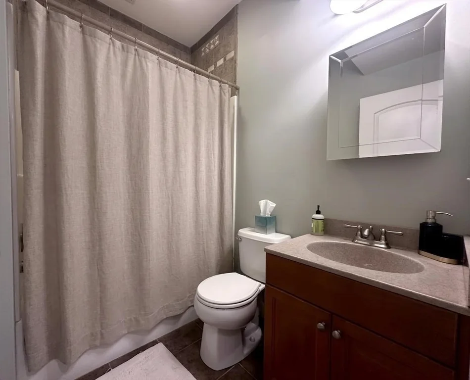 2 bed, 2 bath apartment for rent at 6 Wyman St Unit 3, Jamaica Plain — photo 8 of 9
