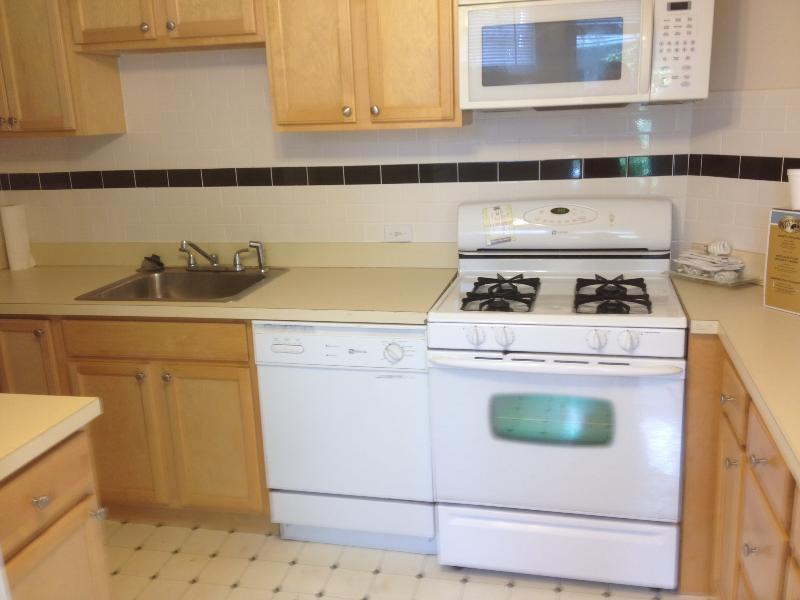 1 bed, 1 bath apartment for rent at 60-62 Bedford St Unit 60 #1, Banks Square — photo 3 of 7