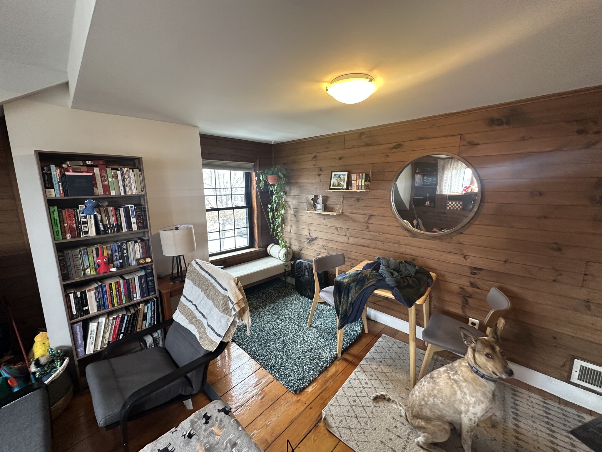 1 bed, 1 bath apartment for rent at 60 Atherton St Unit 3, Spring Hill — photo 5 of 12