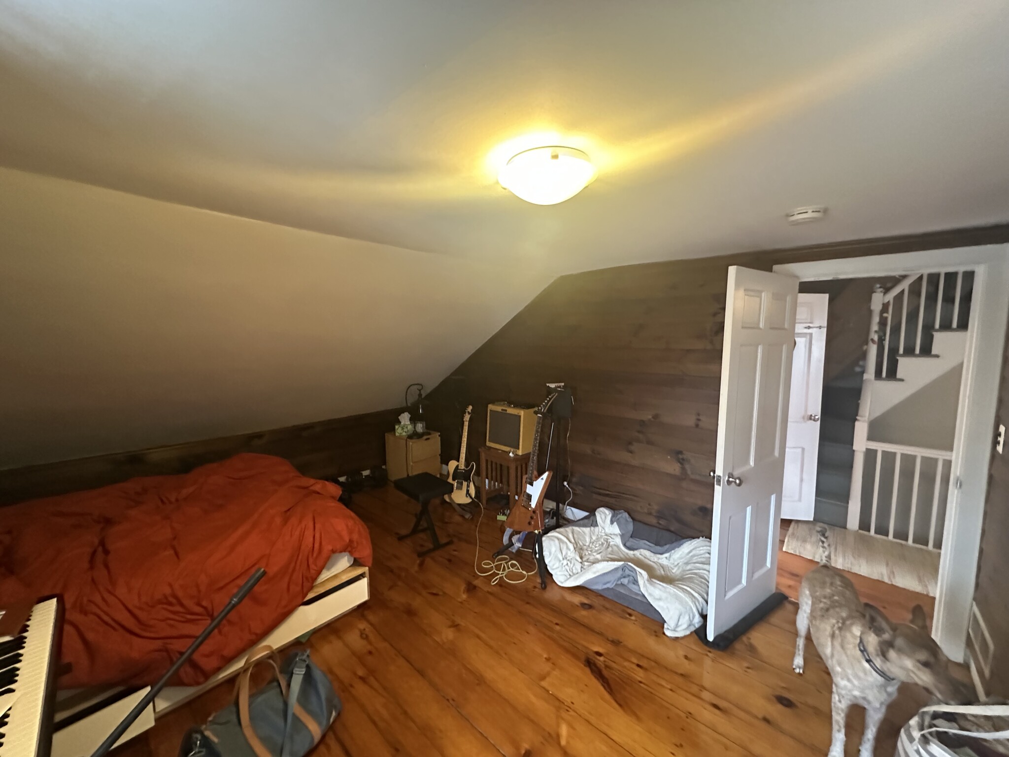 1 bed, 1 bath apartment for rent at 60 Atherton St Unit 3, Spring Hill — photo 9 of 12