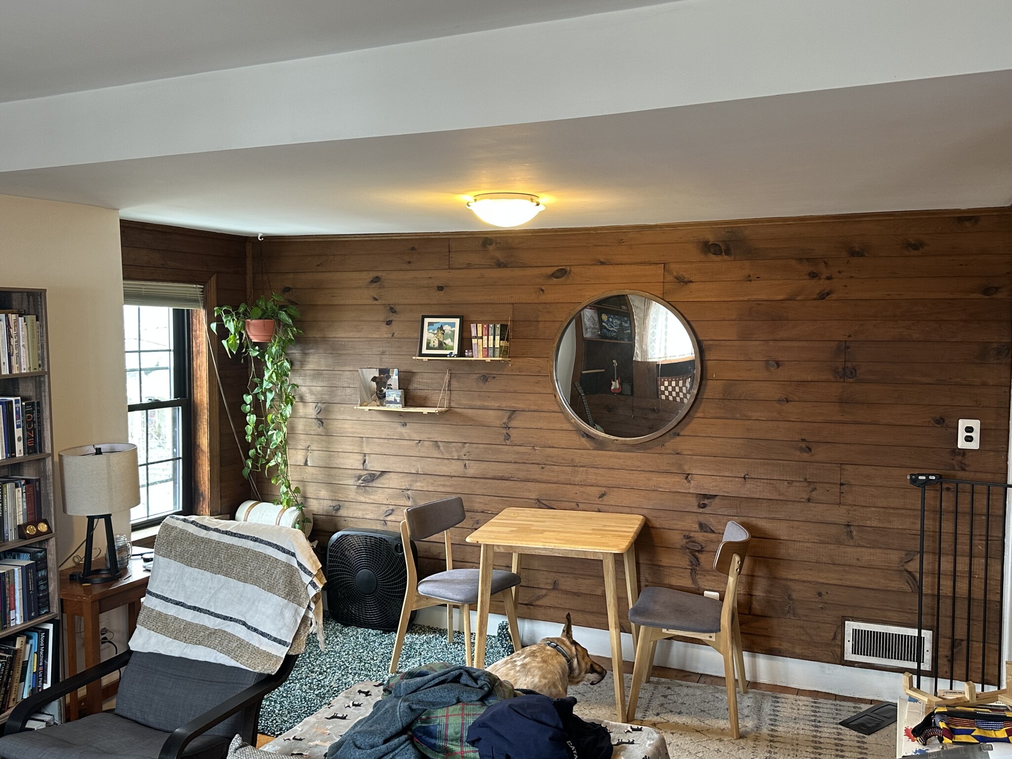 1 bed, 1 bath apartment for rent at 60 Atherton St Unit 3, Spring Hill — photo 3 of 12