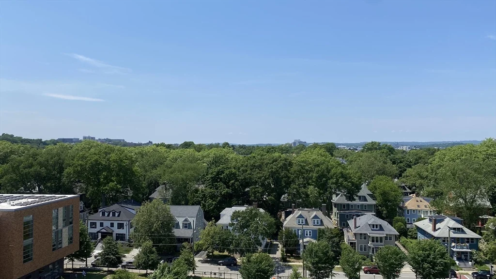 1 bed, 1 bath apartment for rent at 60 Babcock St Unit 94, Coolidge Corner — photo 1 of 41