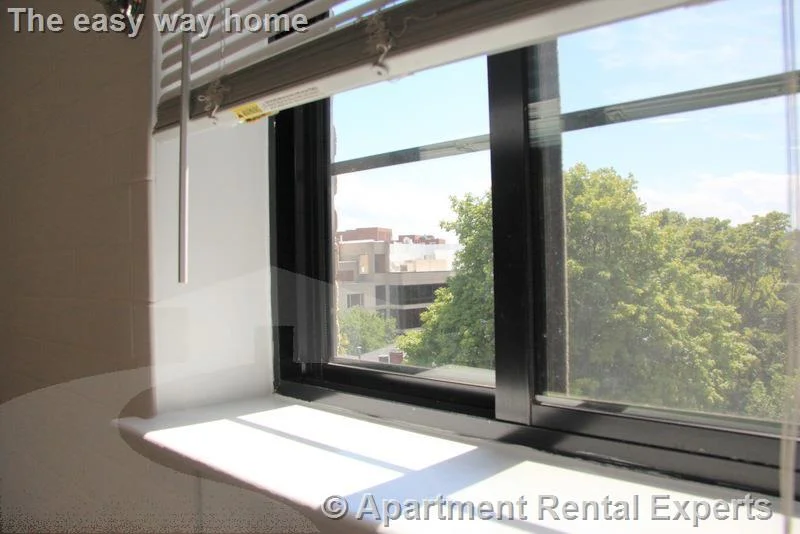 2 bed, 1 bath apartment for rent at 60 Brattle St Unit 702, Harvard Square — photo 8 of 23