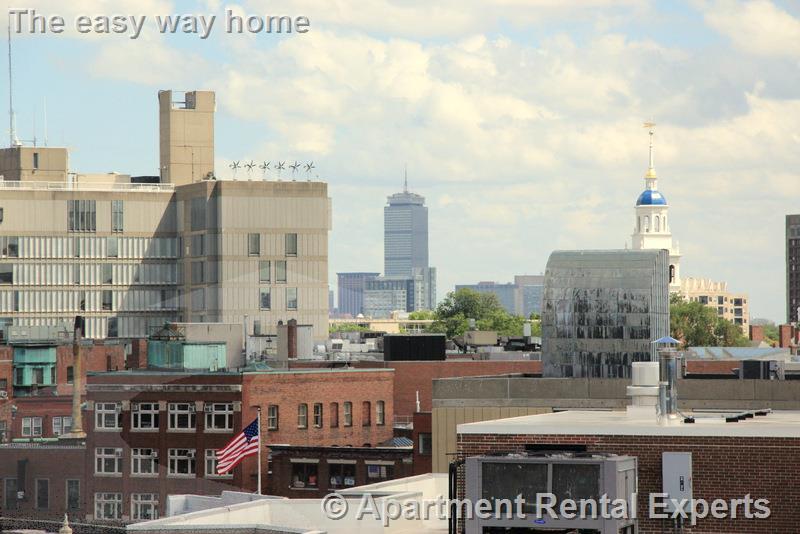 1 bed, 1 bath apartment for rent at 60 Brattle St Unit 703, Harvard Square — photo 16 of 25
