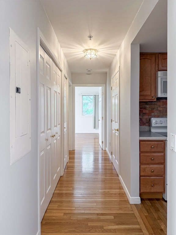 2 bed, 2 bath apartment for rent at 60 Broadlawn Park Unit 3C, Chestnut Hill — photo 6 of 11