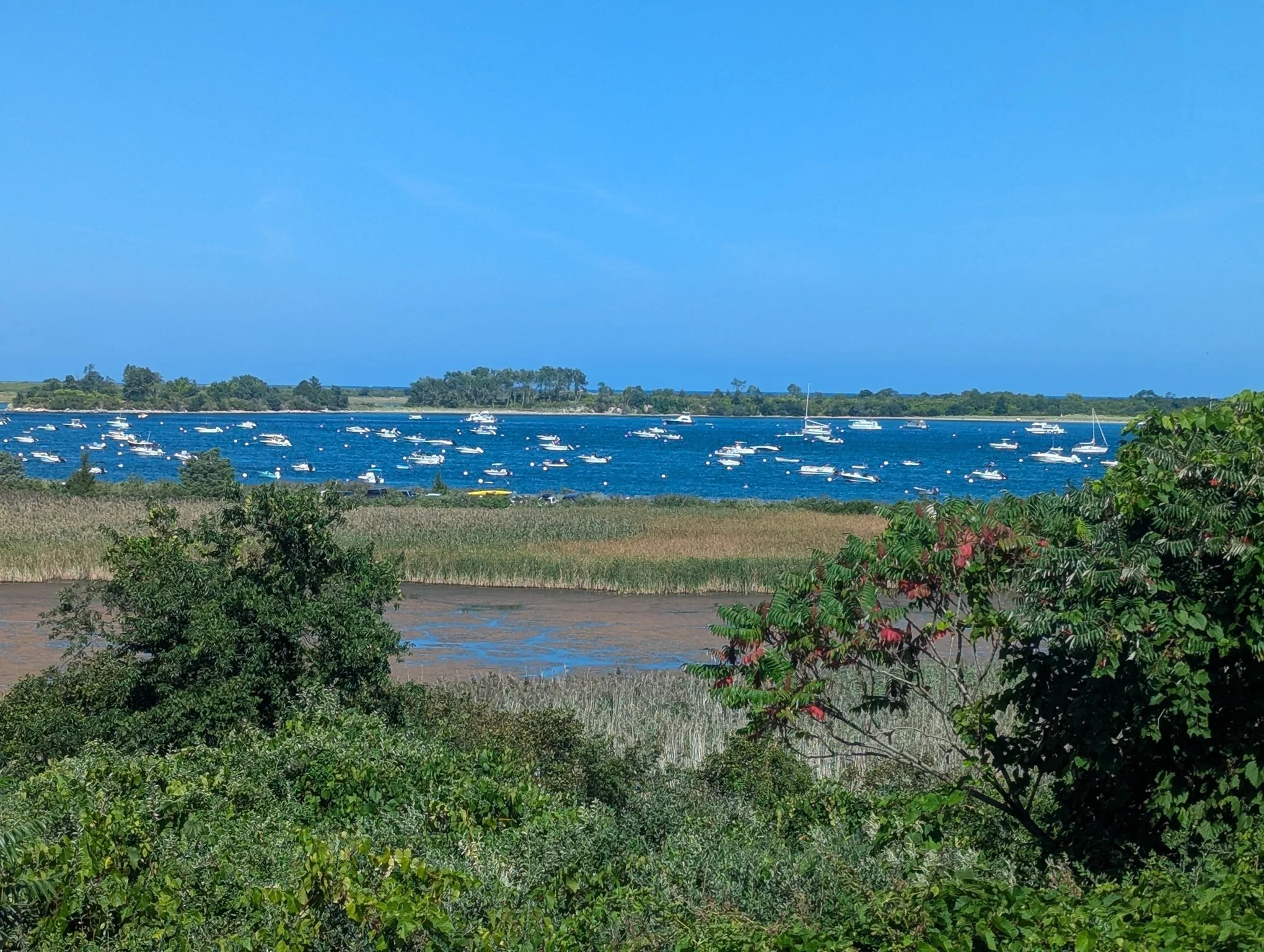 3 bed, 1 bath apartment for rent at 60 Clark Rd Unit -, Great Neck — photo 2 of 31