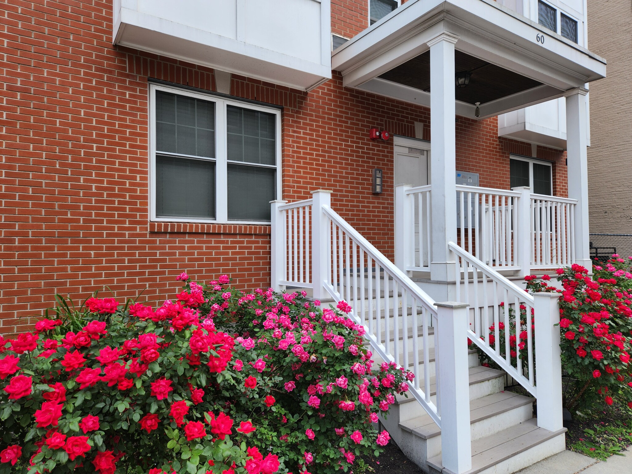 2 bed, 1.5 bath apartment for rent at 60 Holworthy St Unit 6, Roxbury — photo 20 of 21