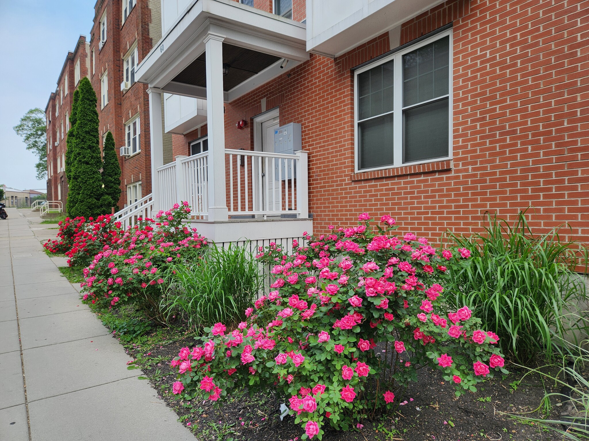 2 bed, 1.5 bath apartment for rent at 60 Holworthy St Unit 6, Roxbury — photo 21 of 21