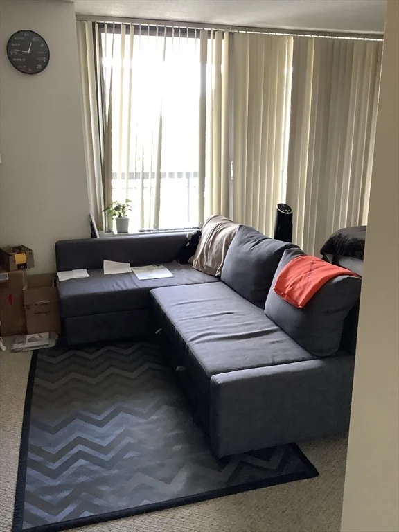 Studio bed, 1 bath apartment for rent at 60 Longwood Ave Unit 206, Coolidge Corner — photo 16 of 19