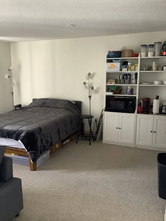 Studio bed, 1 bath apartment for rent at 60 Longwood Ave Unit 206, Coolidge Corner — photo 8 of 19
