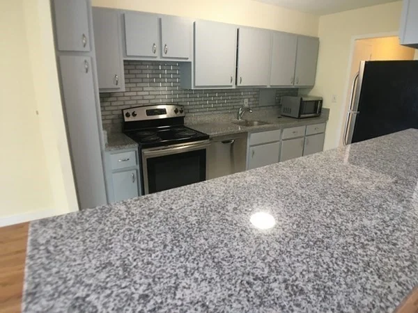 1 bed, 1 bath apartment for rent at 60 Longwood Ave Unit 402, Coolidge Corner — photo 3 of 13