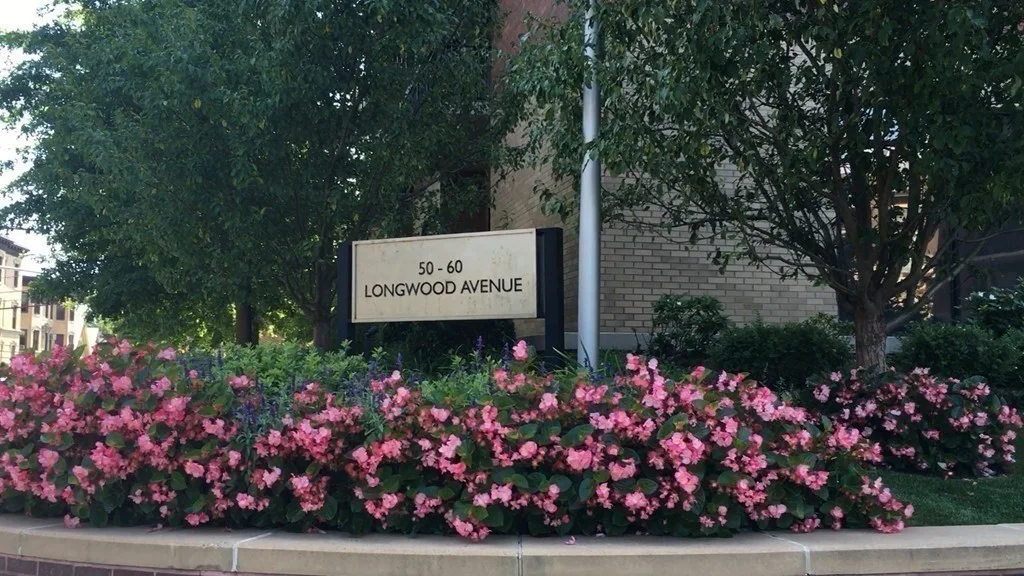1 bed, 1 bath apartment for rent at 60 Longwood Ave Unit 408, Longwood — photo 6 of 12