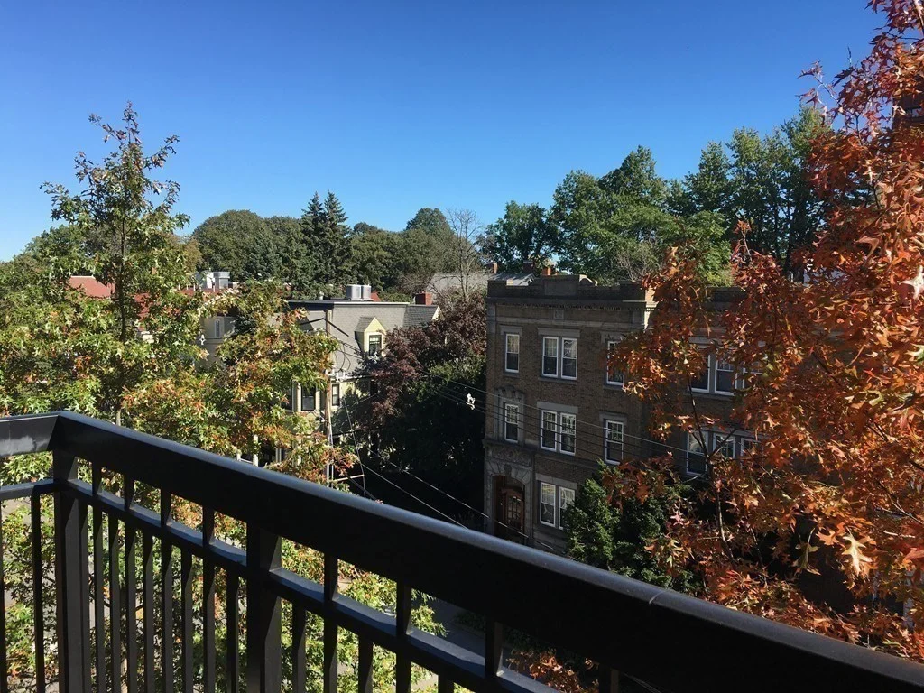 1 bed, 1 bath apartment for rent at 60 Longwood Ave Unit 408, Longwood — photo 12 of 12