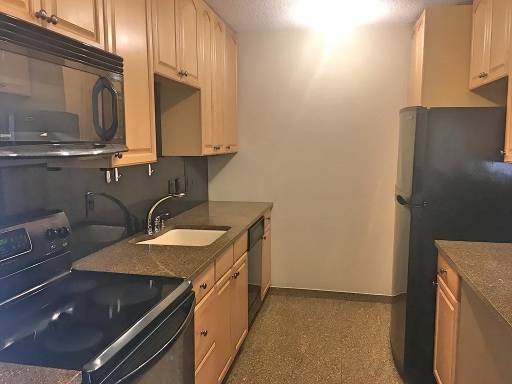 1 bed, 1 bath apartment for rent at 60 Longwood Ave Unit 801, Coolidge Corner — photo 3 of 9