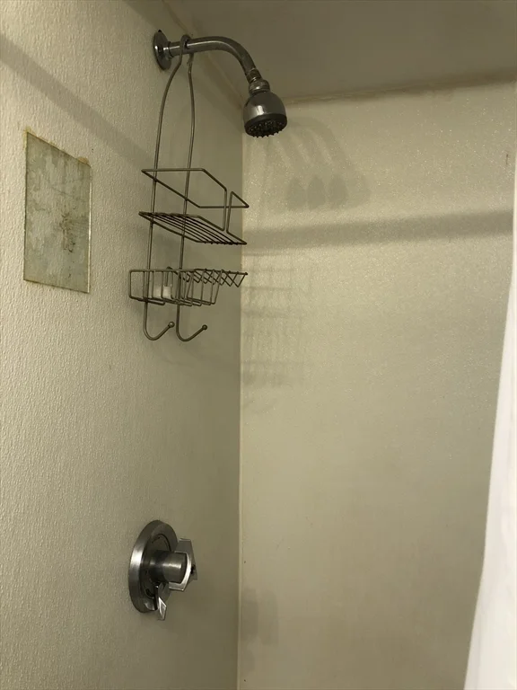 1 bed, 1 bath apartment for rent at 60 Orange St Unit 1, Waltham — photo 17 of 19