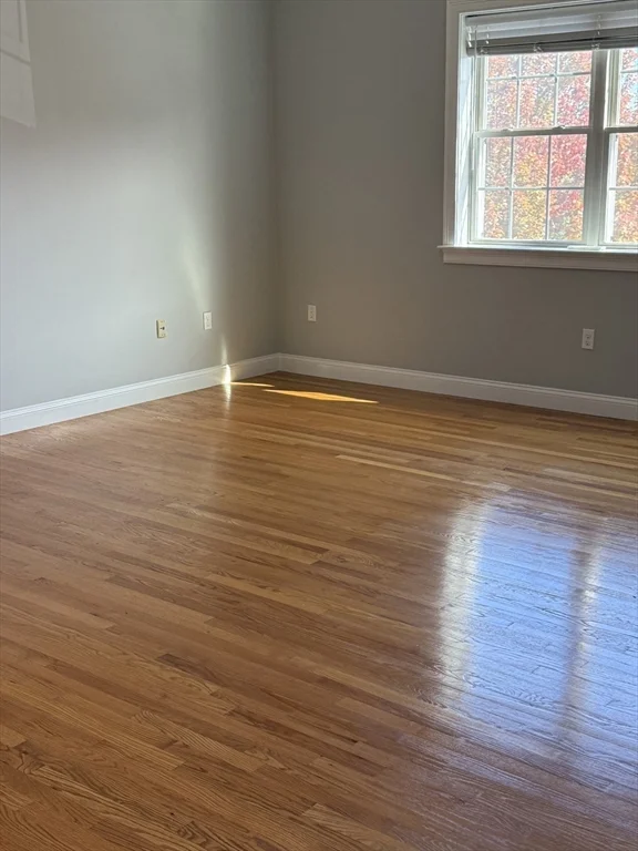 1 bed, 1 bath apartment for rent at 60 Pearl St Unit 201, Five Corners — photo 4 of 7