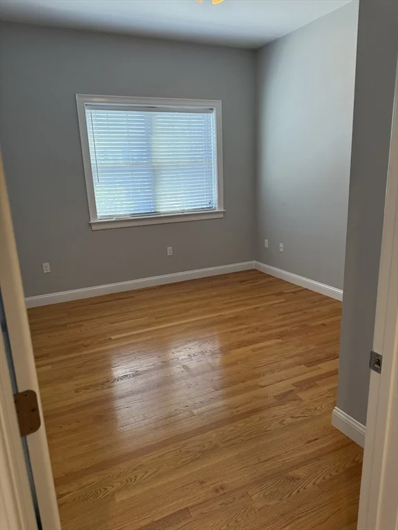 1 bed, 1 bath apartment for rent at 60 Pearl St Unit 201, Five Corners — photo 5 of 7