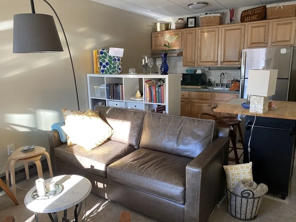 1 bed, 1 bath apartment for rent at 60 Pleasant St Unit 211, Arlington — photo 2 of 12