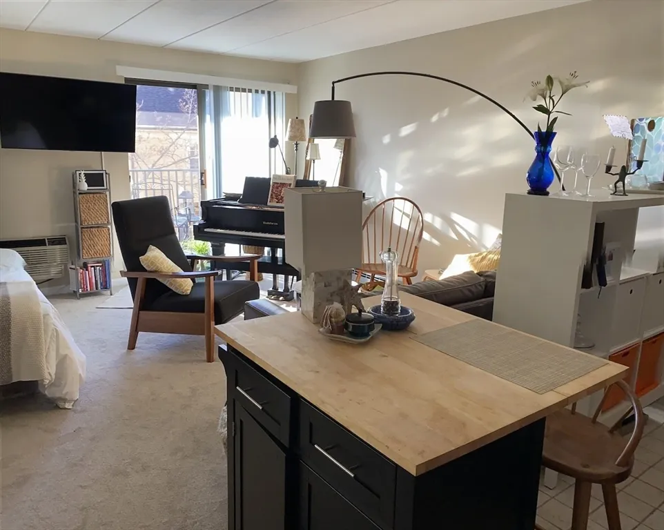 1 bed, 1 bath apartment for rent at 60 Pleasant St Unit 211, Arlington — photo 1 of 12