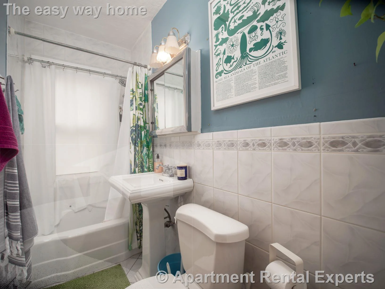 3 bed, 1 bath apartment for rent at 60 Powder House Blvd Unit 2, Davis Square — photo 13 of 25