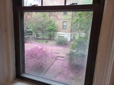 Studio bed, 1 bath apartment for rent at 60 Queensberry Unit 2, Fenway — photo 5 of 6
