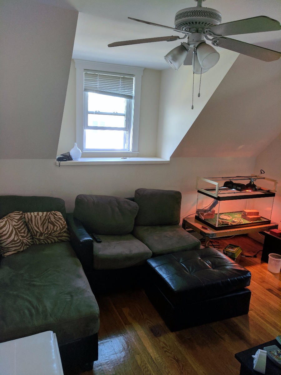 3 bed, 1 bath apartment for rent at 60 Walden St Unit 4, North Cambridge — photo 2 of 4