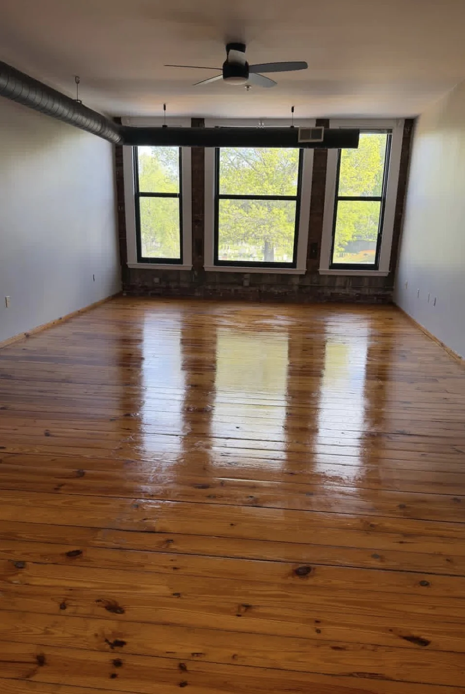 Studio bed, 1 bath apartment for rent at 600 Columbia Rd Unit 2, Dorchester — photo 3 of 3