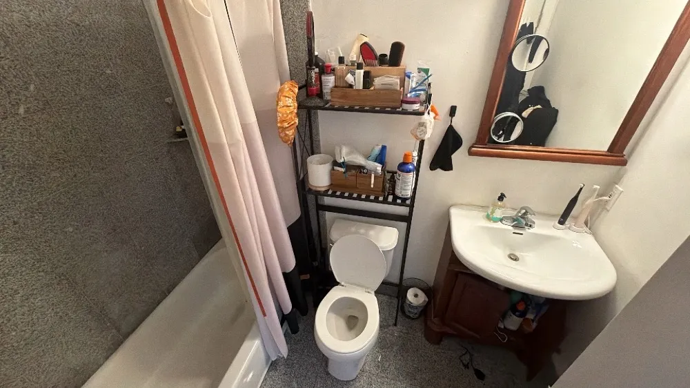 1 bed, 1 bath apartment for rent at 600 Columbia Rd Unit 23, Dorchester — photo 3 of 5