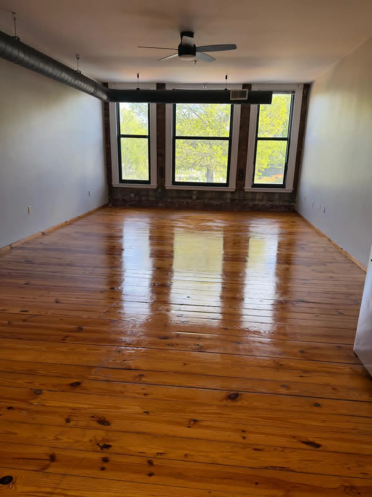 Studio bed, 1 bath apartment for rent at 600 Columbia Rd Unit 25, Dorchester — photo 8 of 10